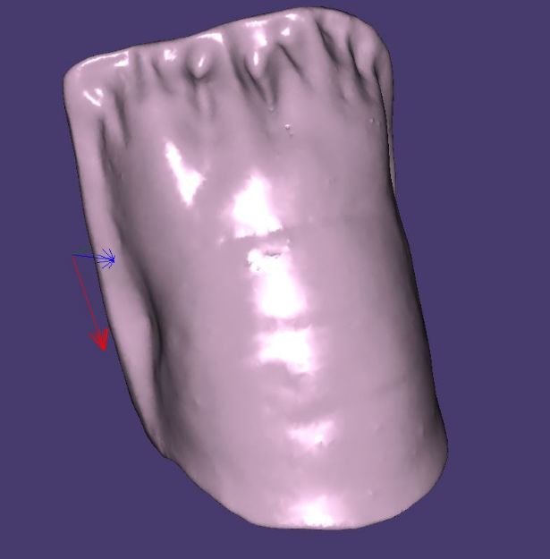 Picture of Tooth Replica 3D Model